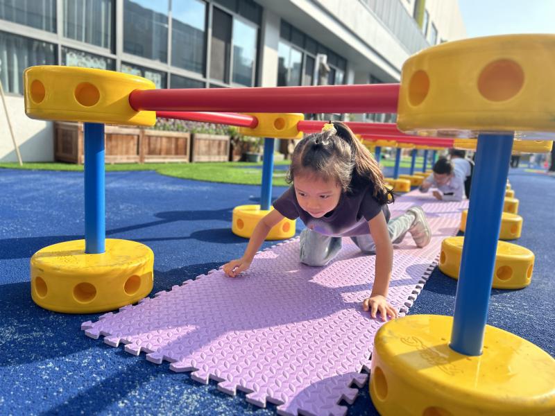 mmexport1733292261143.jpg mmexport1733292261143.jpg